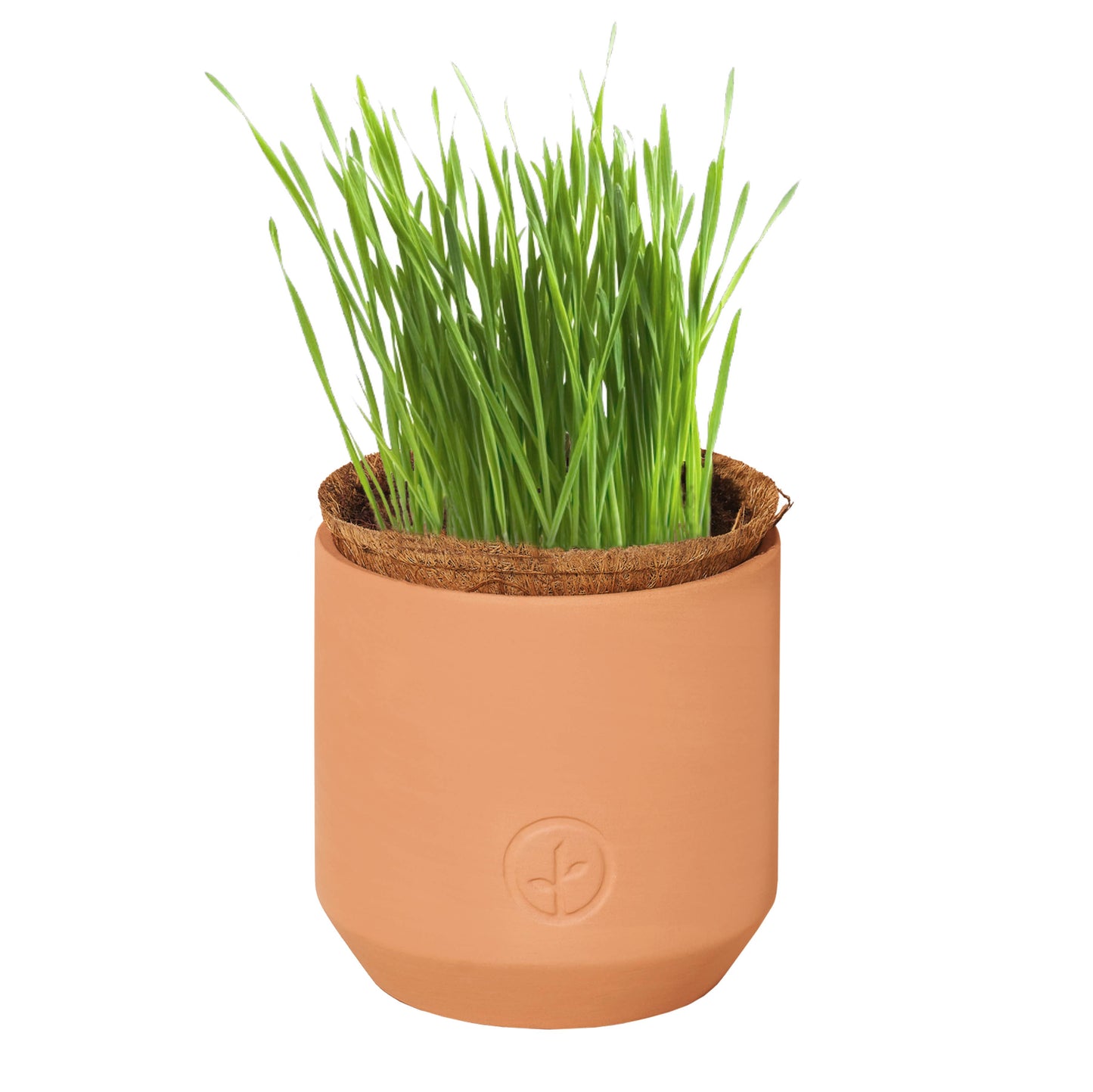 Terracotta Pet Grow Kits