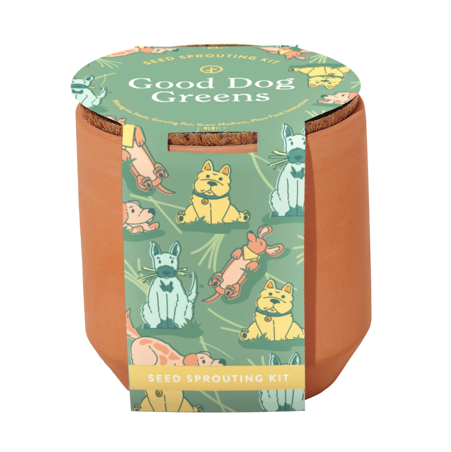 Terracotta Pet Grow Kits