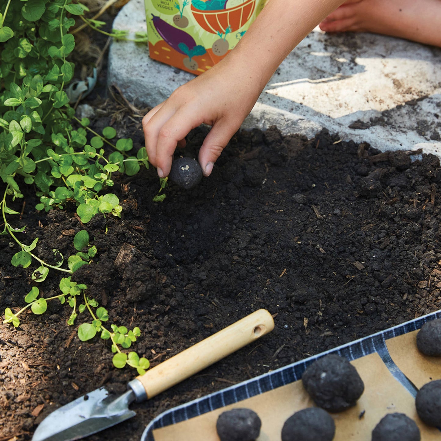 DIY Seed Ball Kit - Rainbow Garden